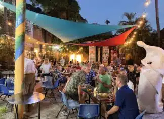 Photos: Arte Vallarta First Saturday in January 2026 arte vallarta FS 2