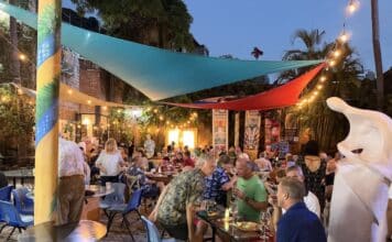 Photos: Arte Vallarta First Saturday in January 2026 arte vallarta FS 2