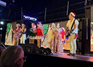 Jamie Alexander Shares Message of Gratitude Following Surprise Tribute jamie surprise show 16