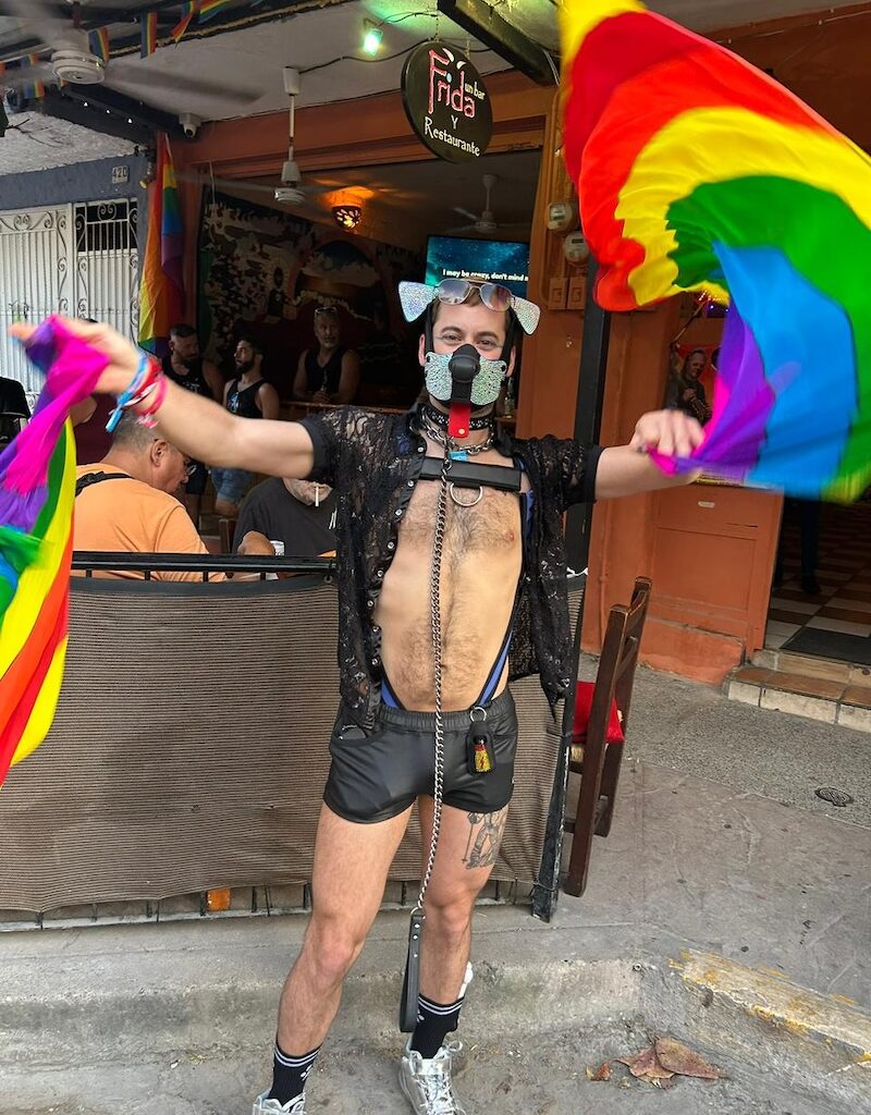 bearadise 2026