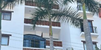 Authorities Seize Tiger at Rivera Cuale Condominiums; U.S. Resident Detained tiger condo Rivera Cuale