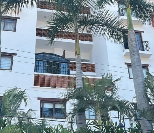 Authorities Seize Tiger at Rivera Cuale Condominiums; U.S. Resident Detained tiger condo Rivera Cuale