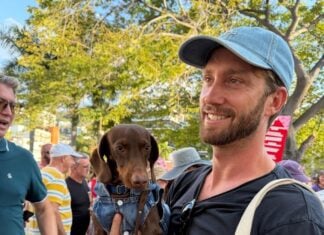 Photos: First Puppy Love Valentine’s Pet Parade valentines pet parade 2026