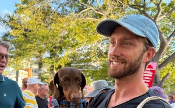 Photos: First Puppy Love Valentine’s Pet Parade valentines pet parade 2026