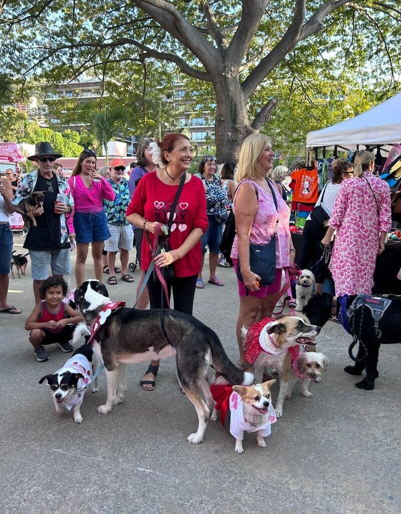 valentines pet parade 2026