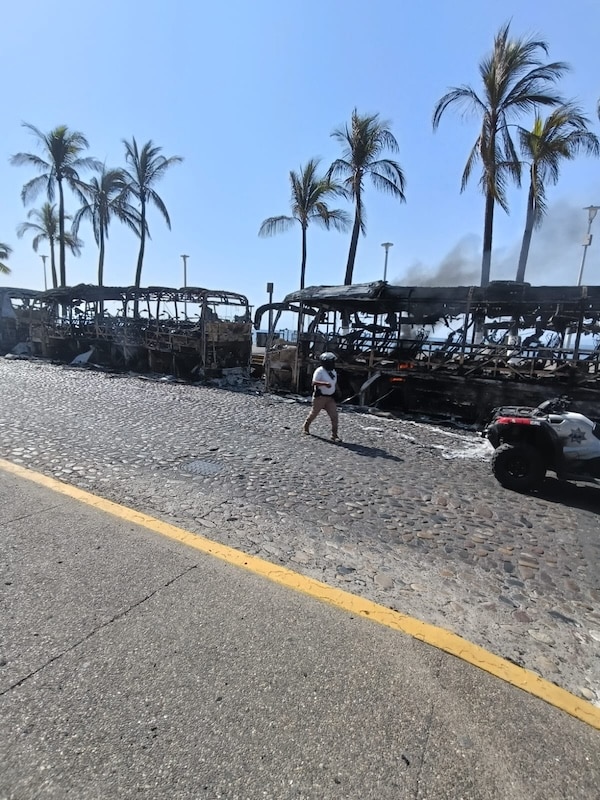 buses on the malecon