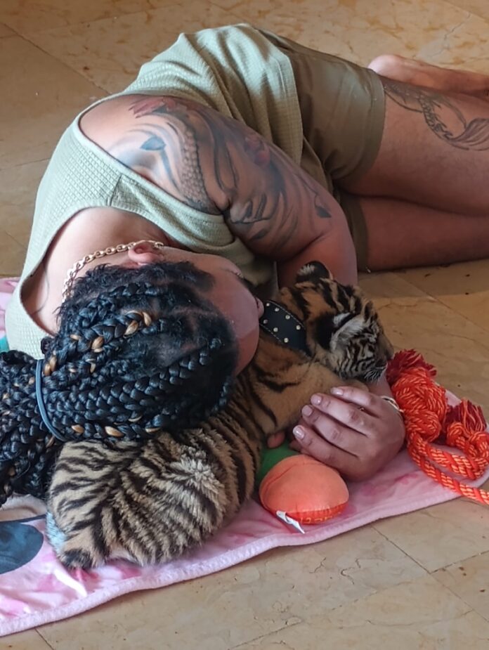 karl and tiger