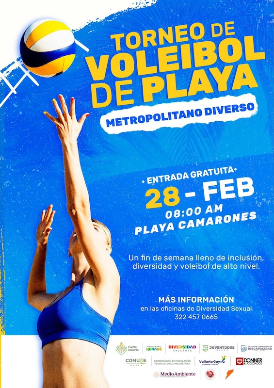poster for volleyball