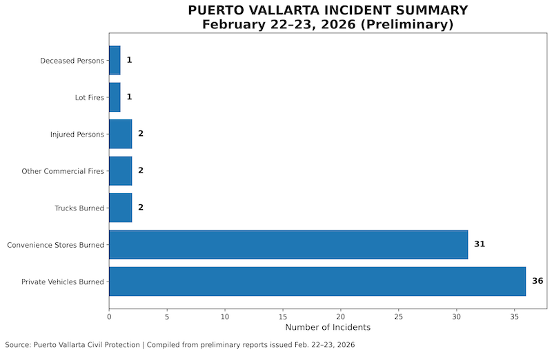 puerto_vallarta_incident_infographic_with_source