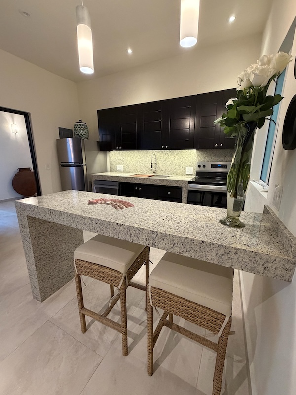 The haven kitchen in apartment