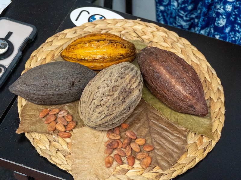 cacao chocolate festival 2026