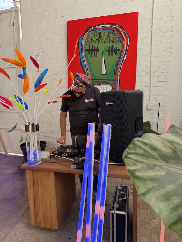 hyden art dj 2
