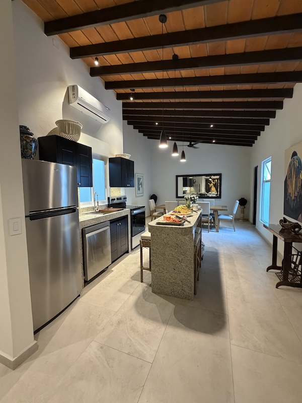 the haven 325 penthouse kitchen