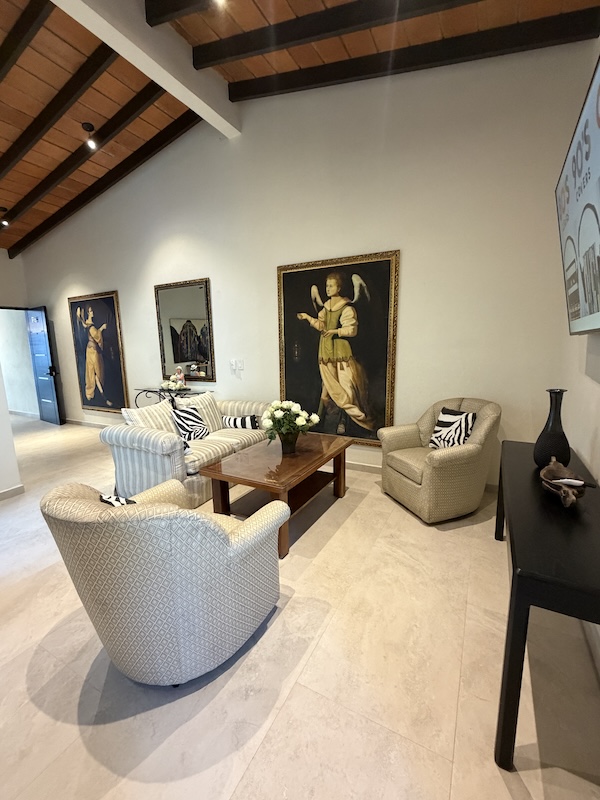 the haven 325 penthouse living room
