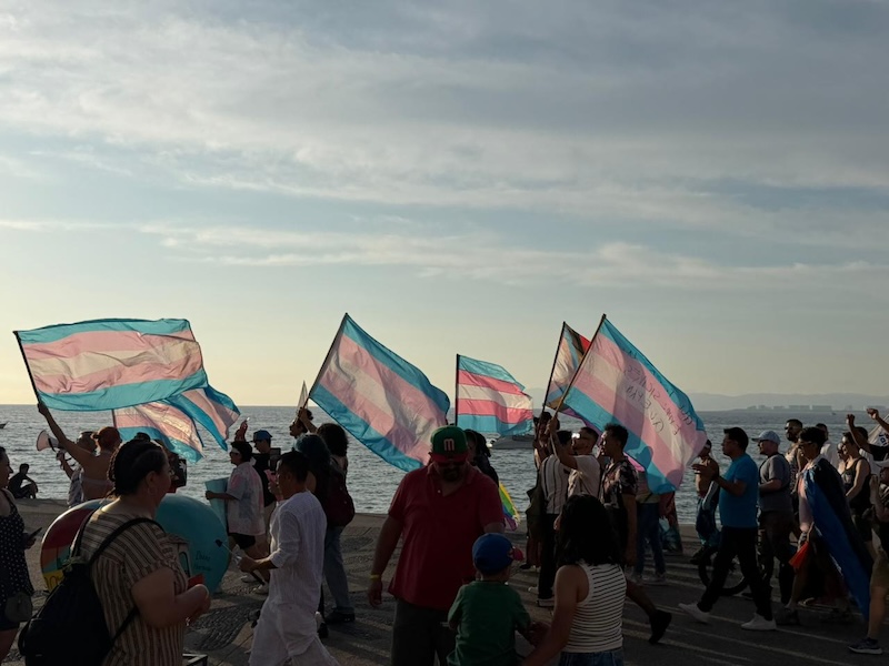 trans cross walk 2026 4