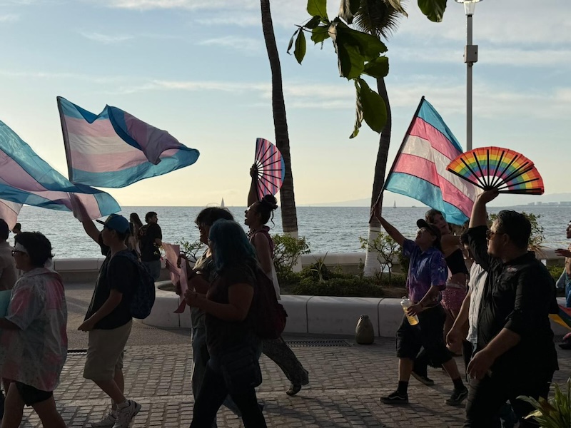 trans cross walk 2026 7