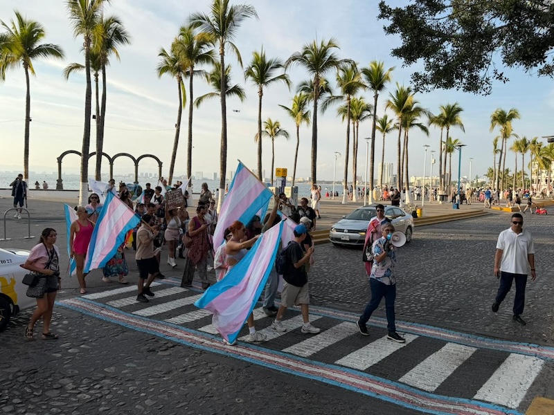 trans cross walk 2026 n3