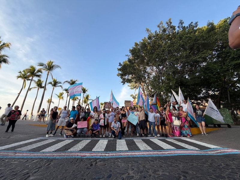 trans cross walk 2026