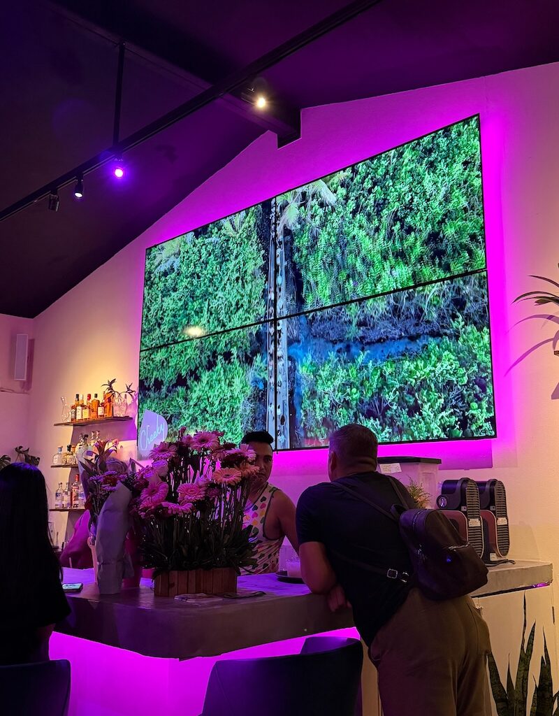 cheeky lounge