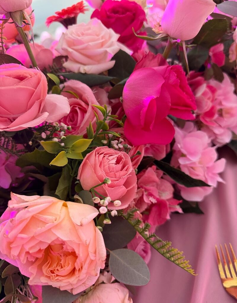 almar pink dinner 2026 Vallarta Pride