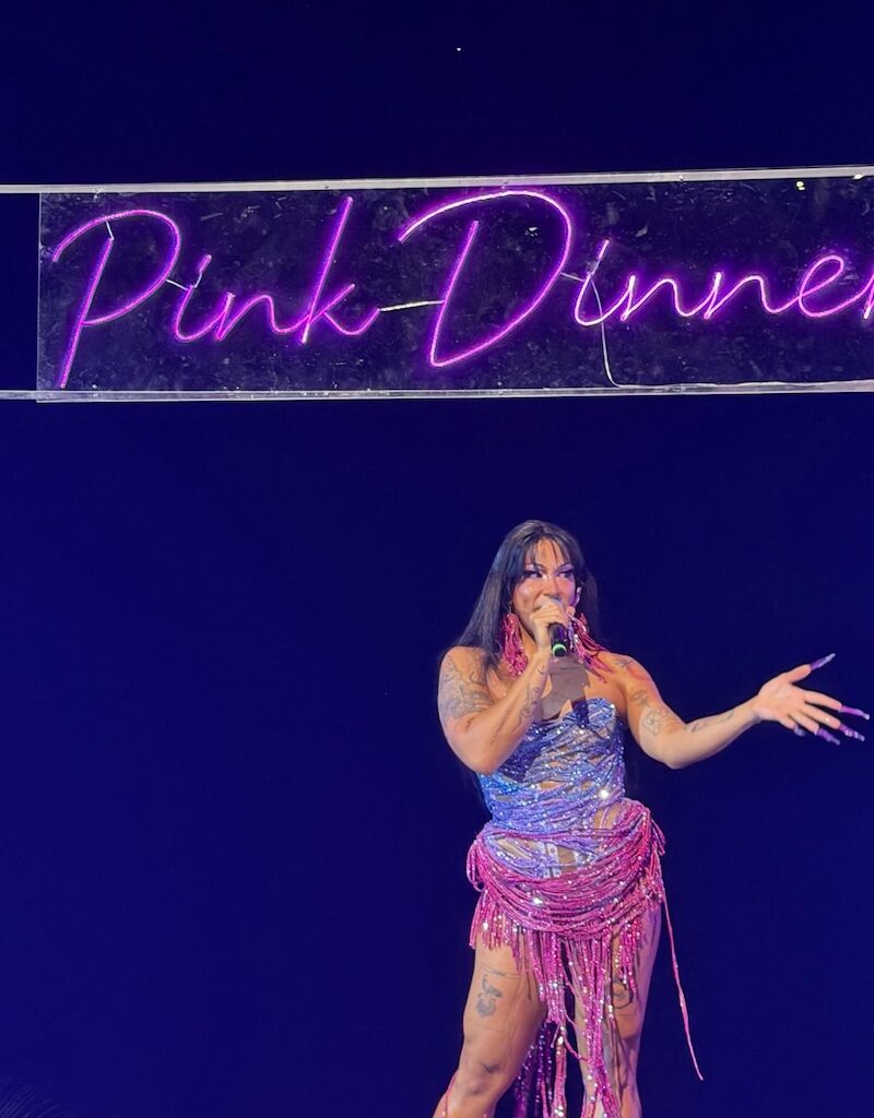 almar pink dinner 2026 Vallarta Pride