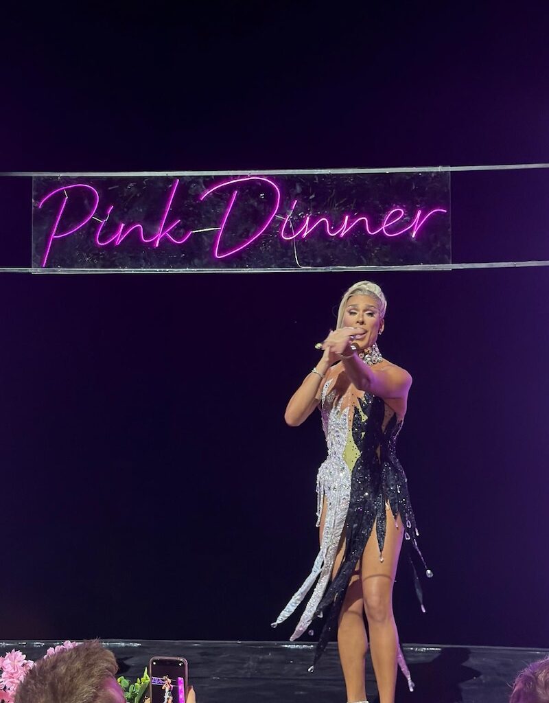 almar pink dinner 2026 Vallarta Pride