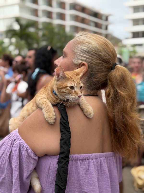 pet pride parade 18
