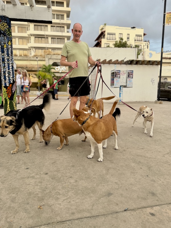 pet pride parade 287