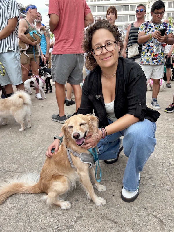 pet pride parade 30