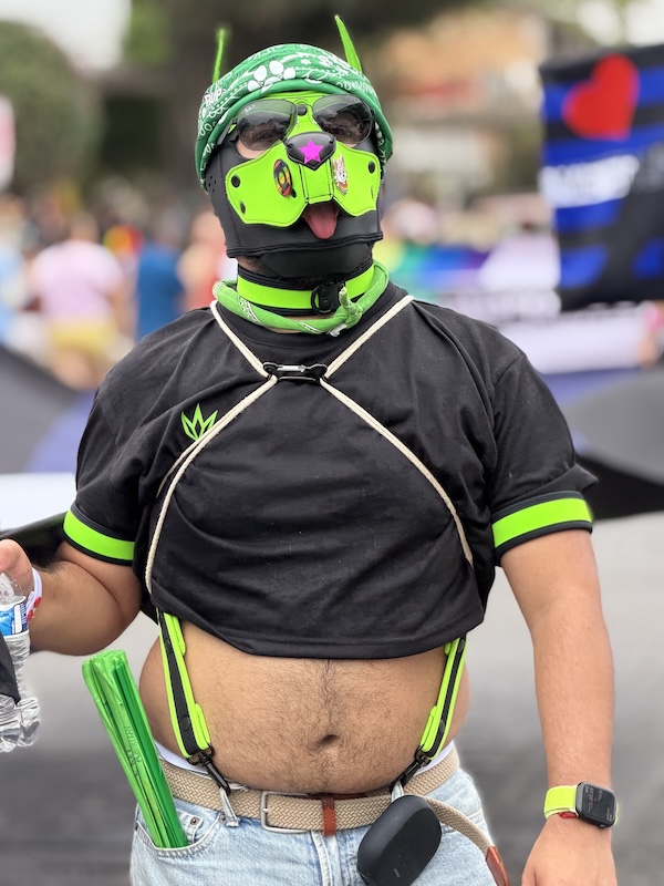 vallarta pride parade 2026 4 3