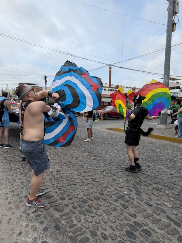 vallarta pride parade 2026 4 5