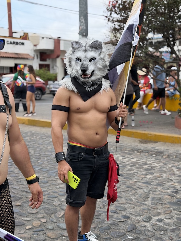 vallarta pride parade 2026 4 6