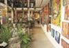 Galleria Dante: A Cornerstone of Vallarta’s Art Scene galleria Dante