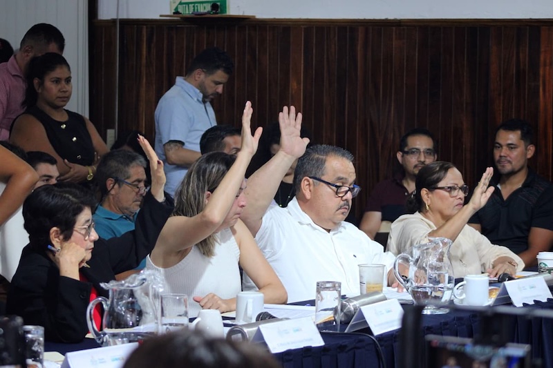 City council session on June 5, 2026.
