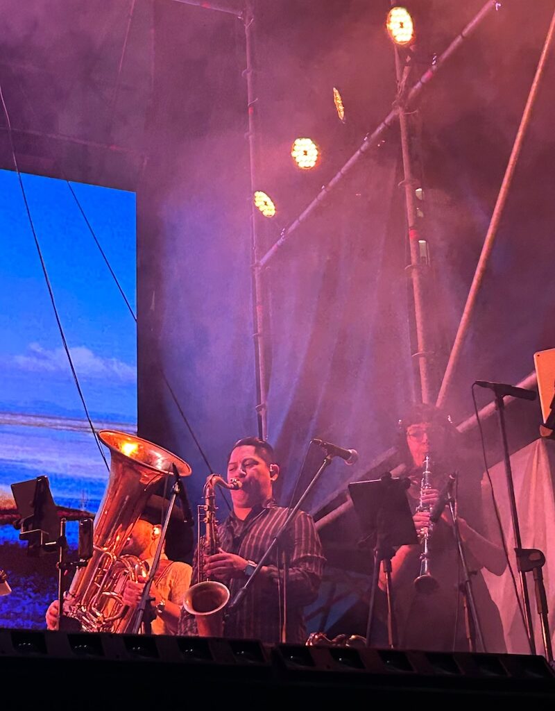 Julieta Venegas