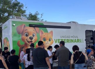 Puerto Vallarta Surpasses 1,000 Free Pet Sterilizations sterilization campaign