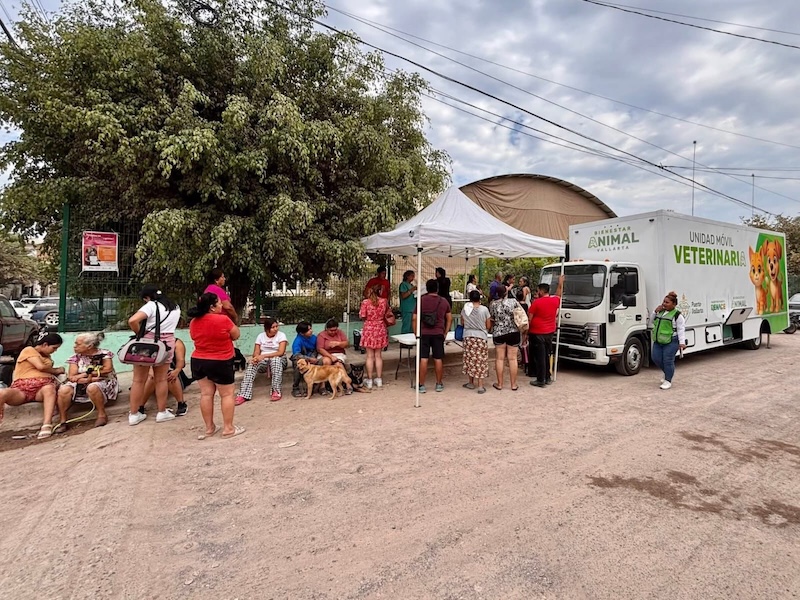 sterilization campaign