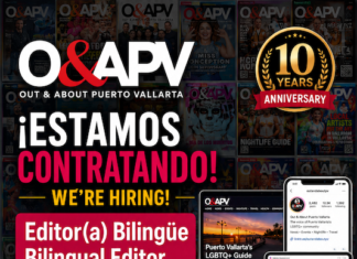O&APV Opens Search for New Editor graphic for job description low res for web