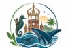 New group ‘Vallarta Limpio’ launches pilot program to tackle trash in Zona Romántica Vallarta Limpio Logo