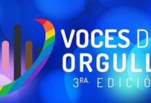 Voices of Pride: Puerto Vallarta Leaders Recognized in National LGBTQ+ Community Awards voices of pride header