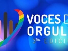Voices of Pride: Puerto Vallarta Leaders Recognized in National LGBTQ+ Community Awards voices of pride header