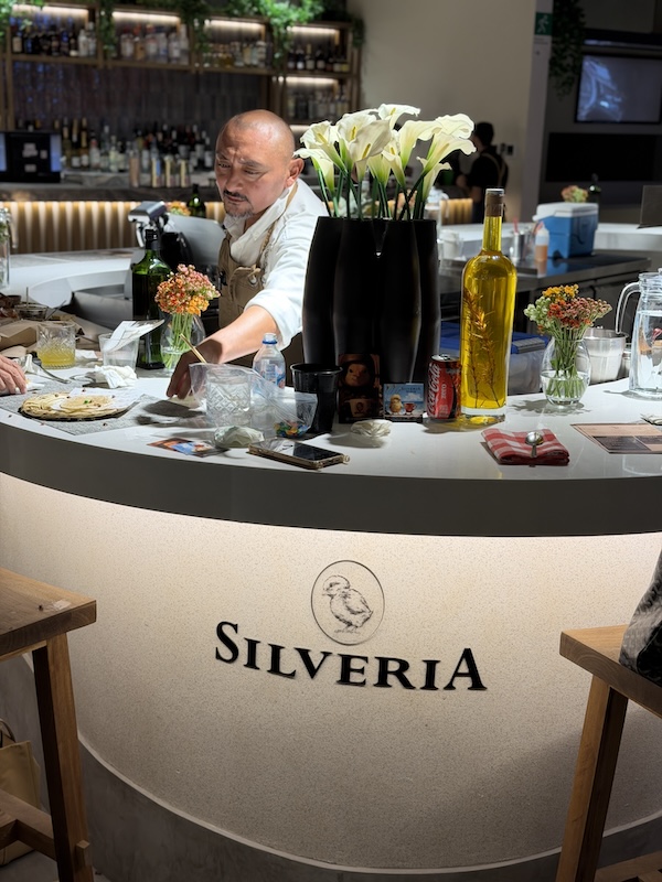 avida silveria for web