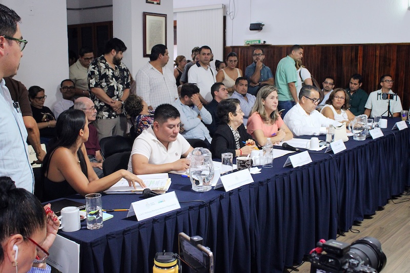 city council aug 2026 2